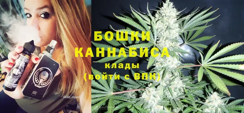 Шишки марихуана Amnesia  купить наркоту  Зеленогорск 